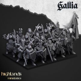 Knights of Gallia on Foot with shield and one handed weapons (10 Knight include 3 command group)
