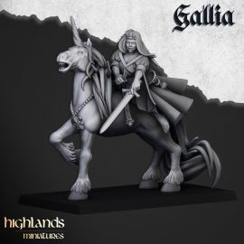 Lady of Gallia Unicorn (Only the mount)
