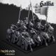 Young Knights of Gallia (5 Young Knight)